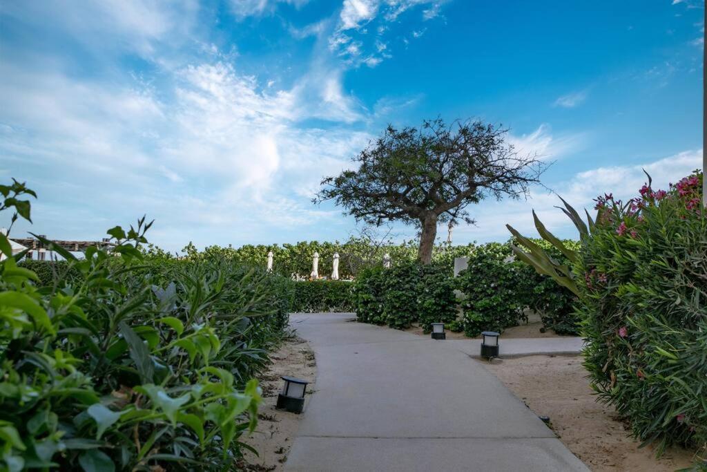 קאבו סן לוקאס Exquisite 3Br Condo Ocean Views Access Resorts מראה חיצוני תמונה